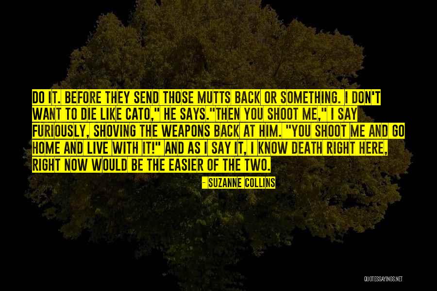 Carinho In English Quotes By Suzanne Collins Carinho In English Quotes By Suzanne Collins