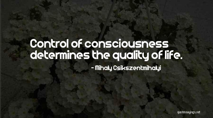 Cariste In English Quotes By Mihaly Csikszentmihalyi Cariste In English Quotes By Mihaly Csikszentmihalyi