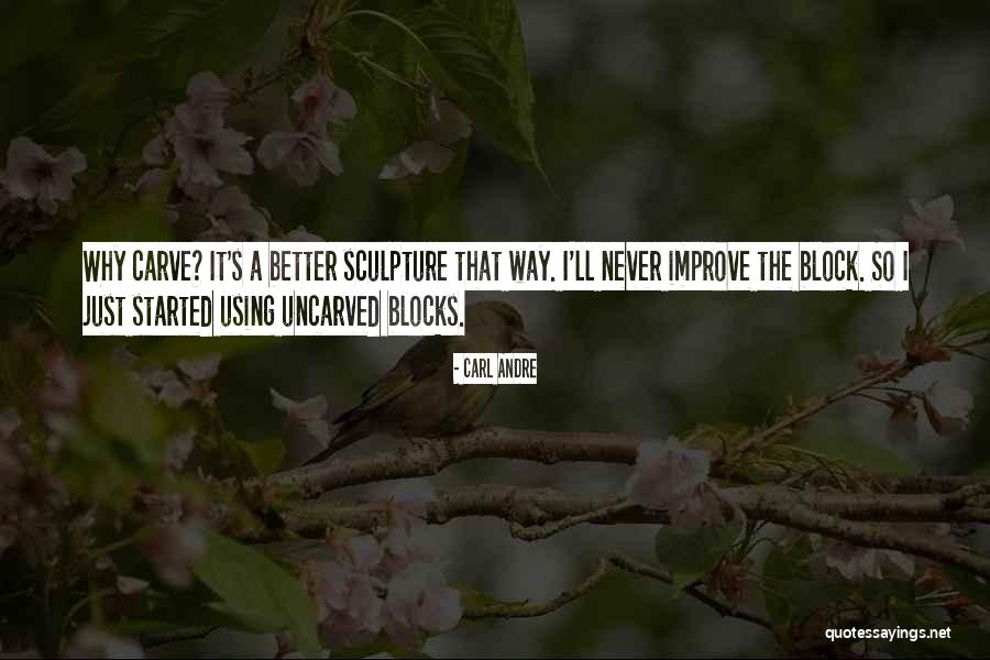 Carl Andre Quotes 1247089