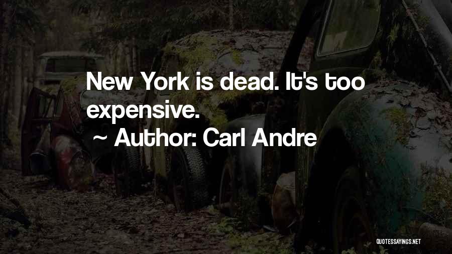 Carl Andre Quotes 1253543