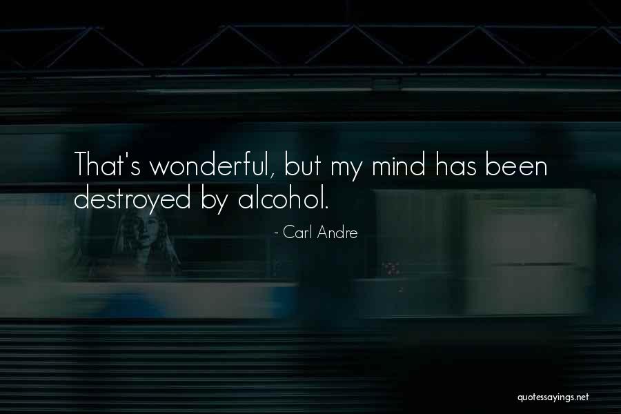 Carl Andre Quotes 1372437 Carl Andre Quotes 1372437
