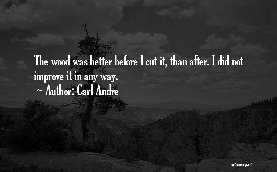 Carl Andre Quotes 1782499