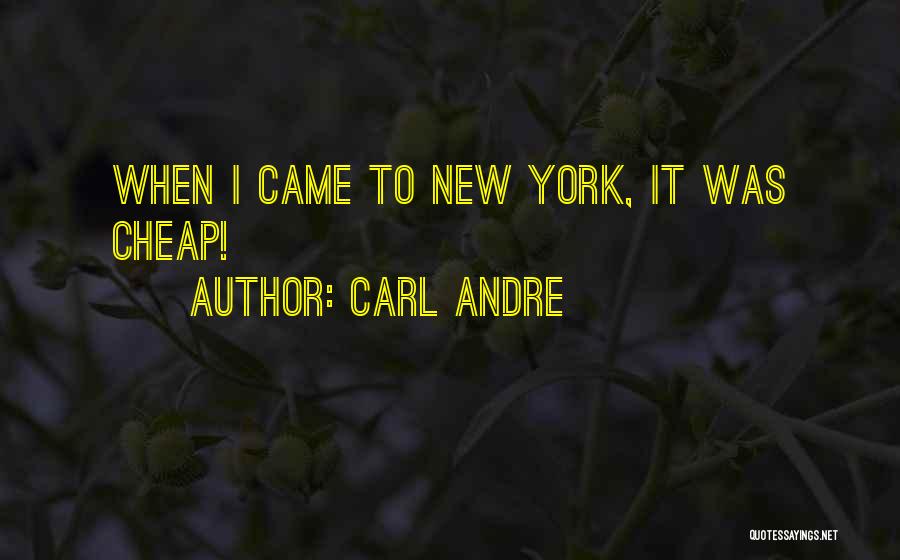 Carl Andre Quotes 2083730