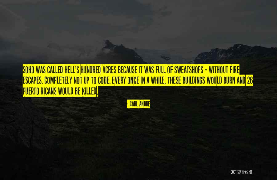 Carl Andre Quotes 903420 Carl Andre Quotes 903420