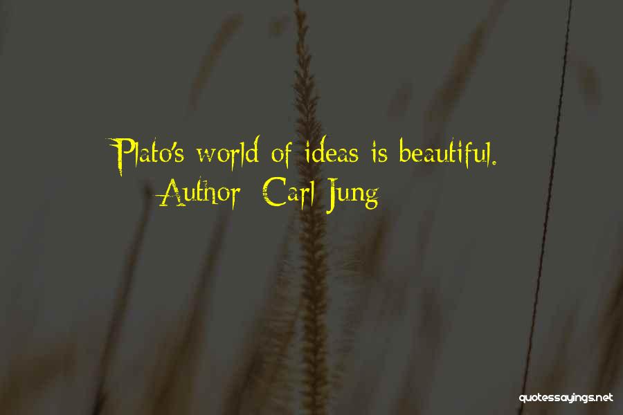 Carl C Jung Quotes By Carl Jung