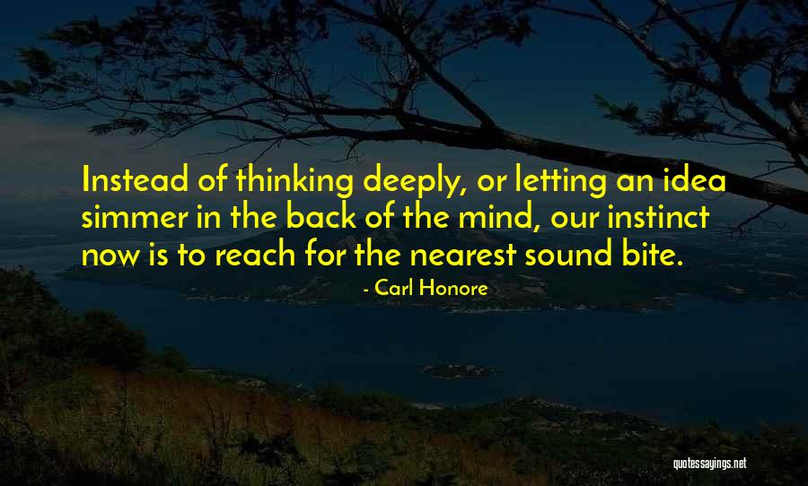 Carl Honore Quotes 1279564