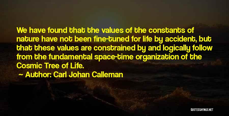 Carl Johan Calleman Quotes 1700761