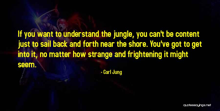 Carl Jung Quotes 1394454