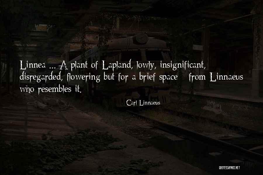 Carl Linnaeus Quotes 1258994 Carl Linnaeus Quotes 1258994