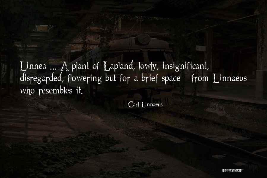 Carl Linnaeus Quotes 1258994