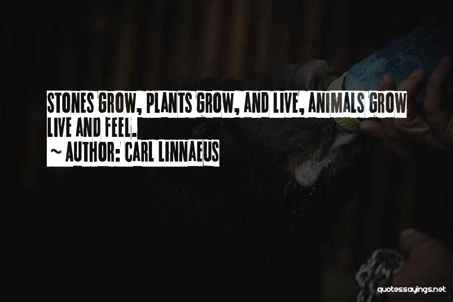 Carl Linnaeus Quotes 522300