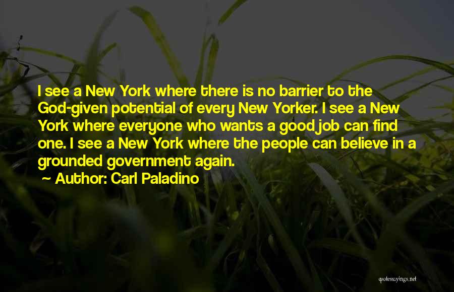 Carl Paladino Quotes 2158578