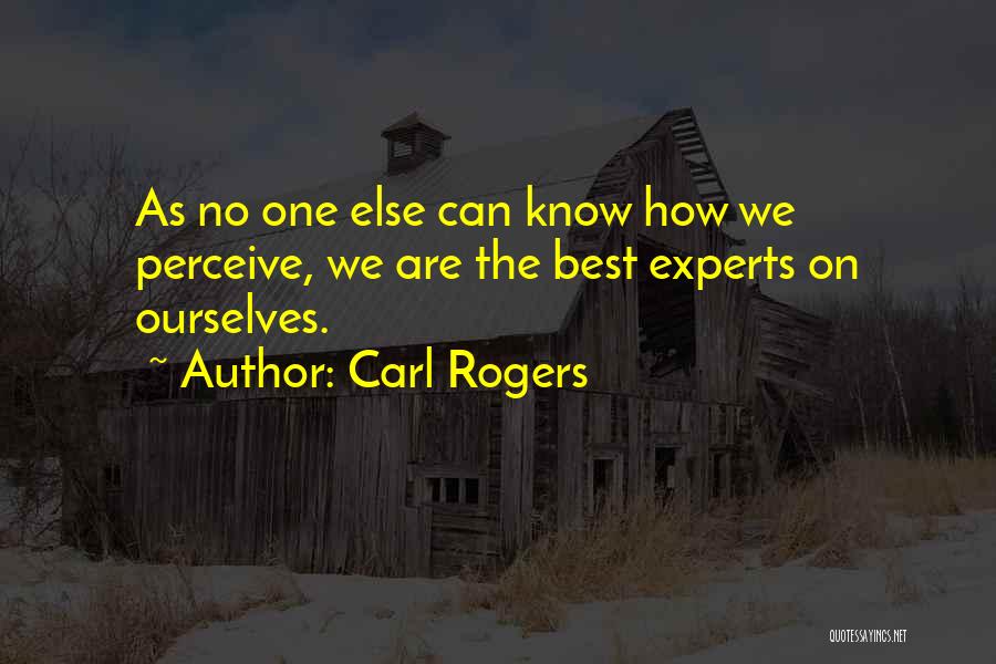 Carl Rogers Quotes 1073576