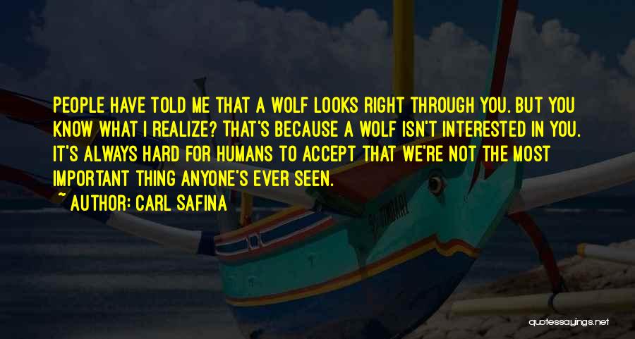 Carl Safina Quotes 1100532