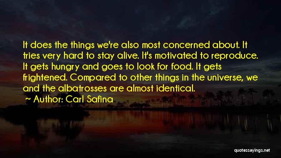 Carl Safina Quotes 1453416