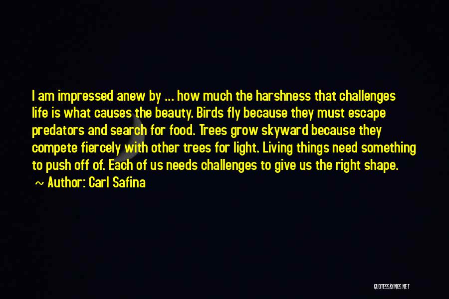 Carl Safina Quotes 1515042