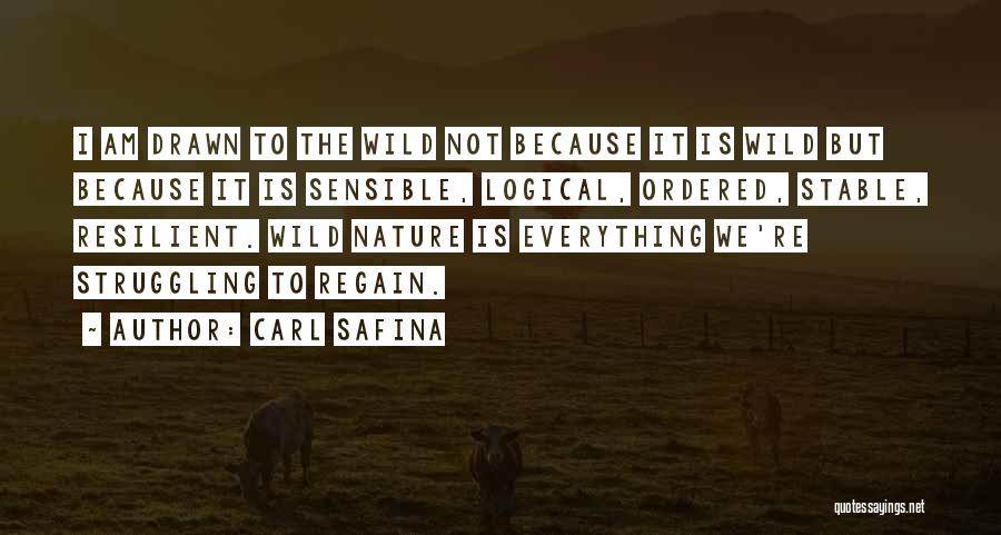 Carl Safina Quotes 360743