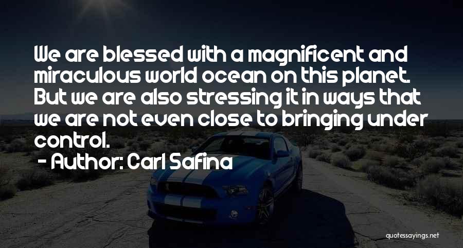 Carl Safina Quotes 577505