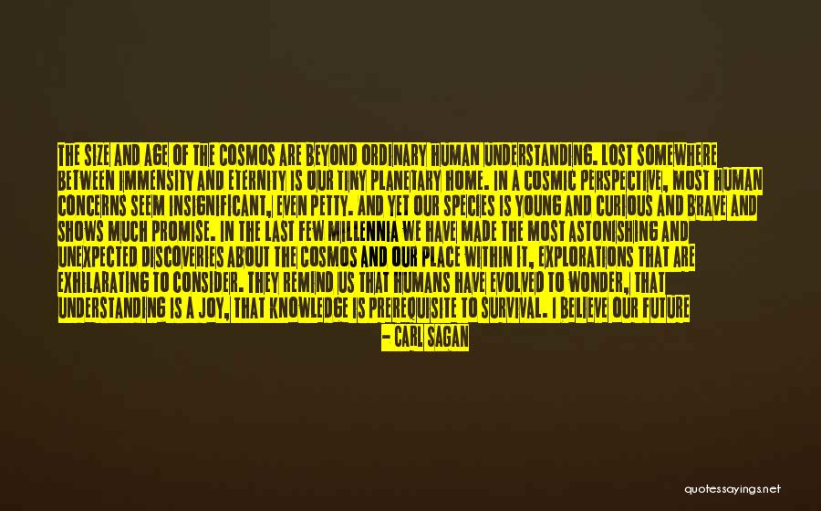 Carl Sagan Insignificant Quotes By Carl Sagan Carl Sagan Insignificant Quotes By Carl Sagan
