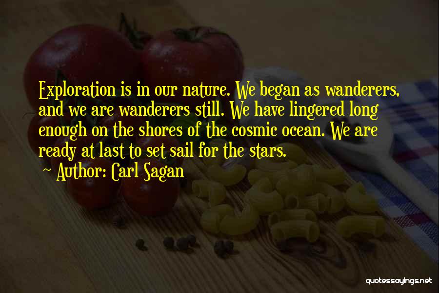 Carl Sagan Wanderers Quotes By Carl Sagan