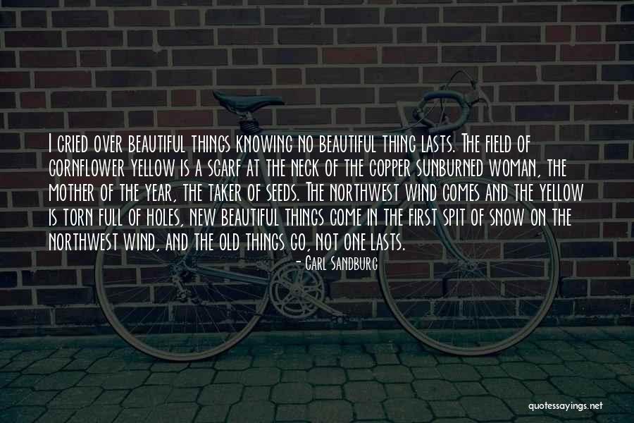 Carl Sandburg Quotes 785800