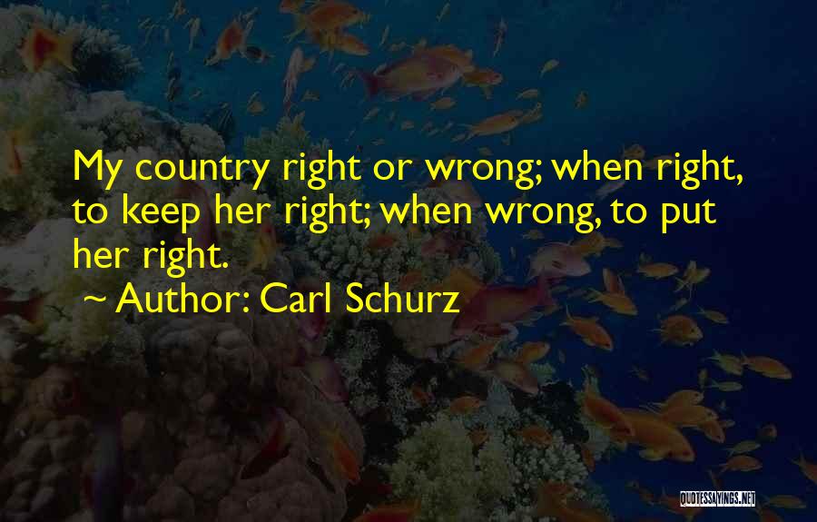 Carl Schurz Quotes 137793