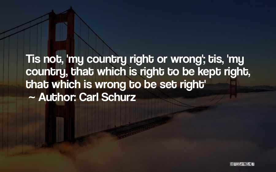 Carl Schurz Quotes 2267092