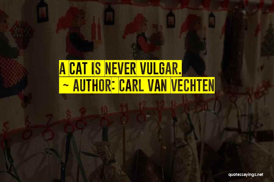 Carl Van Vechten Quotes 149153