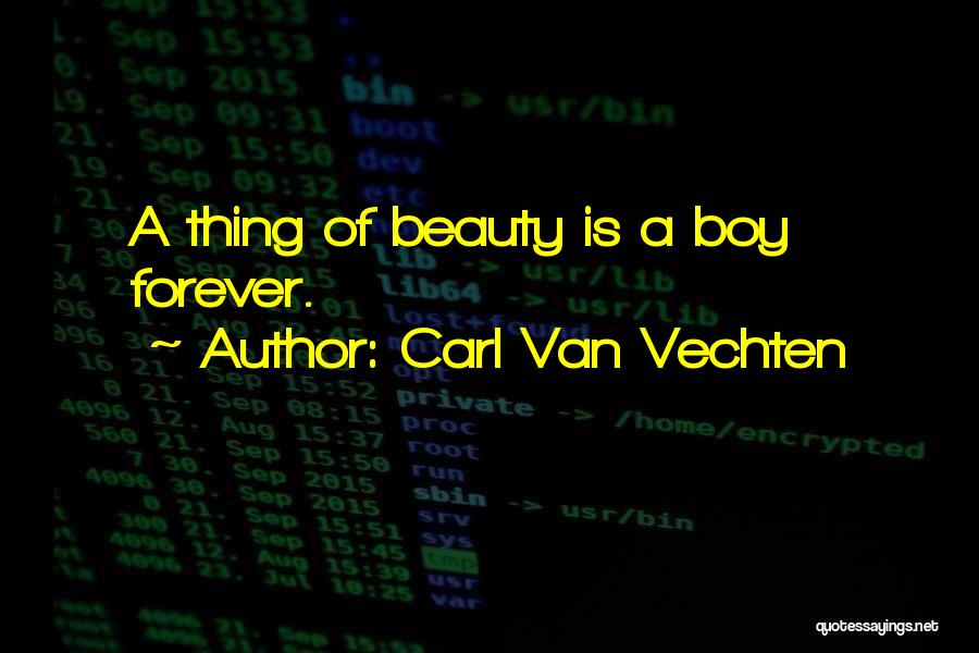 Carl Van Vechten Quotes 2055979