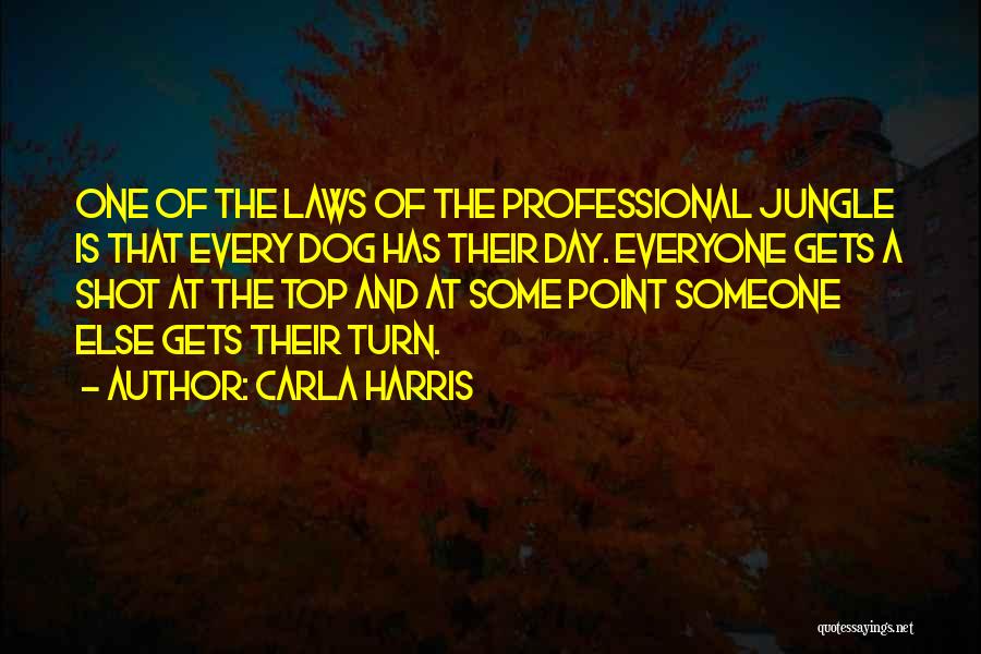 Carla Harris Quotes 1446131