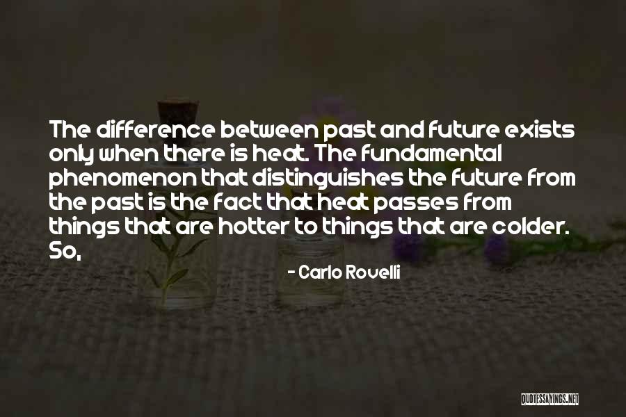 Carlo Rovelli Quotes 1302444