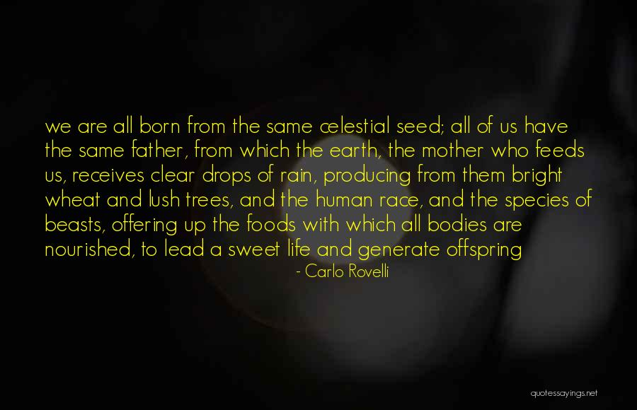 Carlo Rovelli Quotes 594085 Carlo Rovelli Quotes 594085