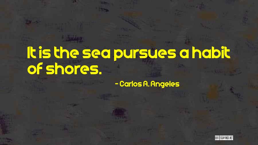 Carlos A. Angeles Quotes 800387