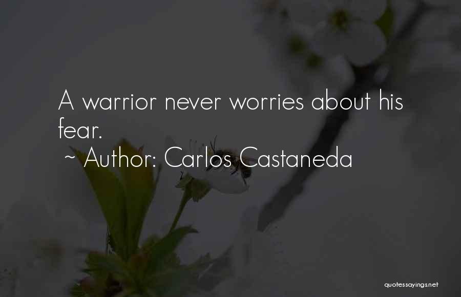 Carlos Castaneda Quotes 1246447