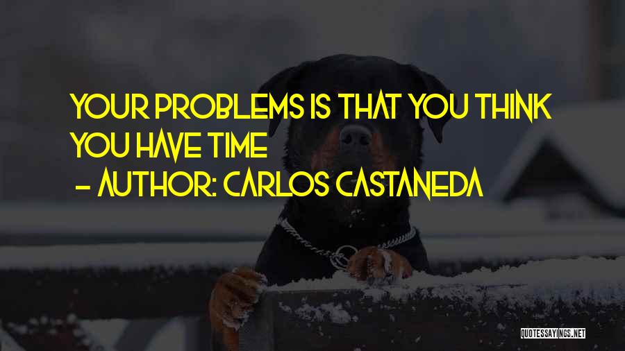 Carlos Castaneda Quotes 1488586