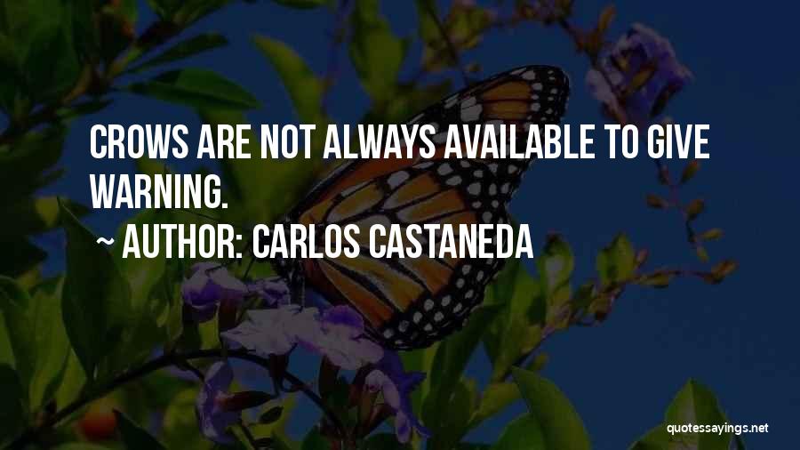 Carlos Castaneda Quotes 645875