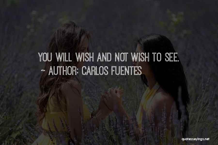 Carlos Fuentes Quotes 413889