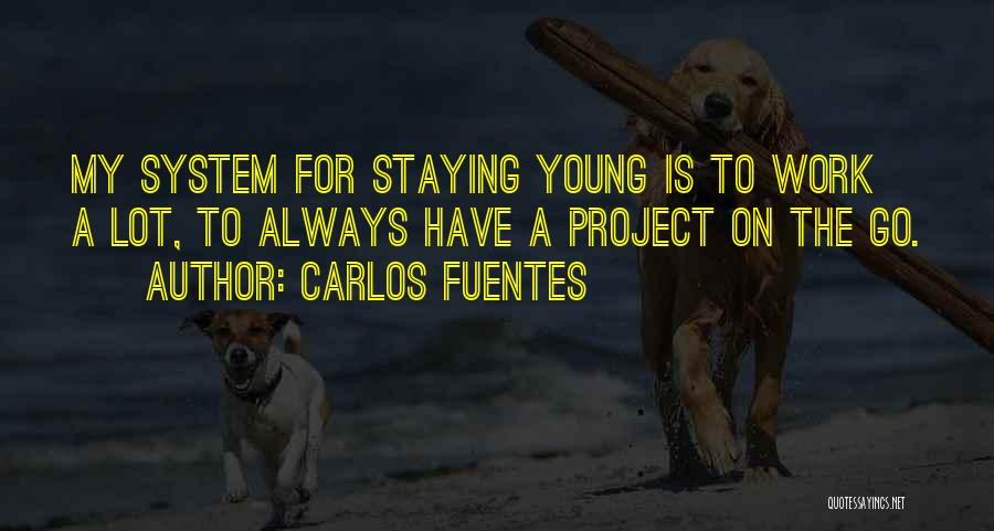 Carlos Fuentes Quotes 704974