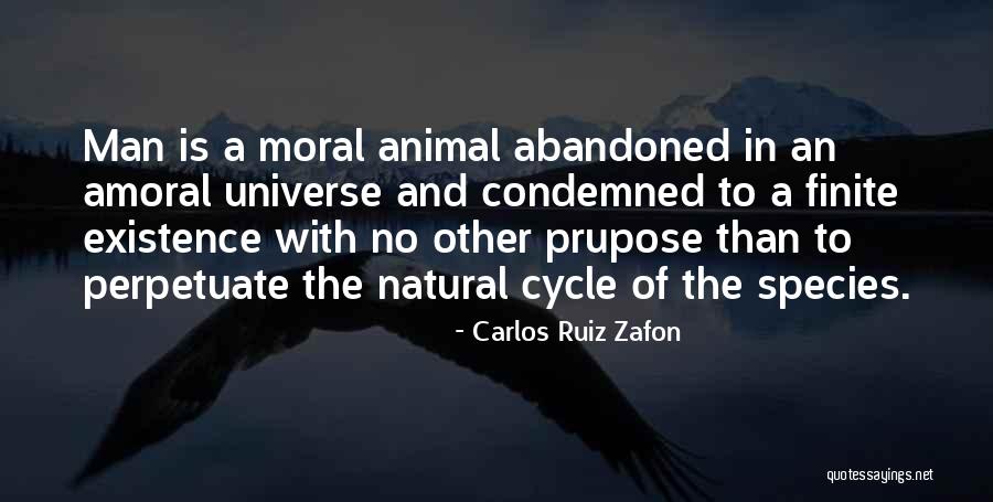 Carlos Ruiz Zafon Quotes 1685508