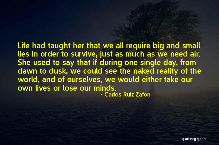 Carlos Ruiz Zafon Quotes 81973