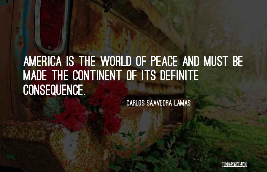 Carlos Saavedra Lamas Quotes 416675