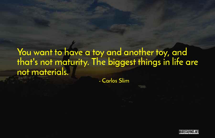 Carlos Slim Quotes 1001554