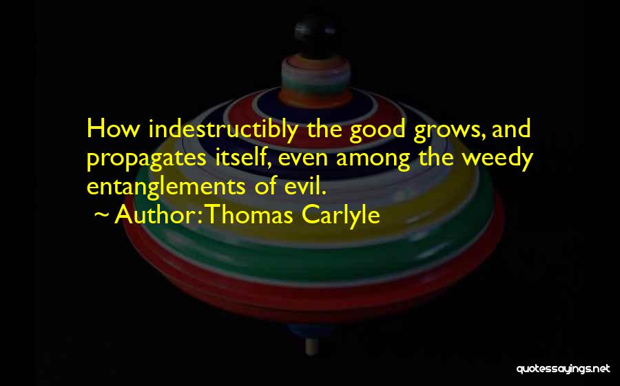 Carlyle Quotes By Thomas Carlyle