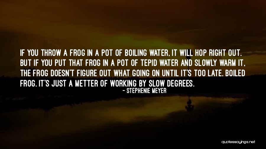 Carmagnola Marinara Quotes By Stephenie Meyer Carmagnola Marinara Quotes By Stephenie Meyer