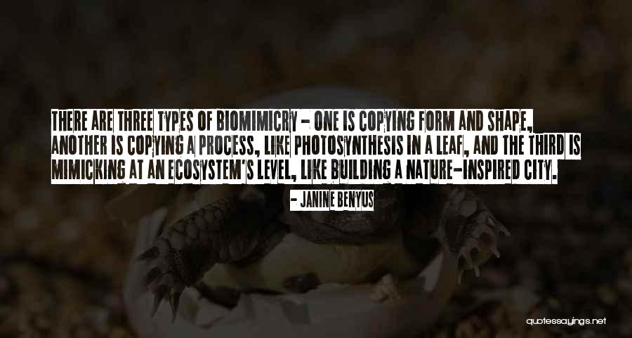 Carmania Chesapeake Quotes By Janine Benyus Carmania Chesapeake Quotes By Janine Benyus