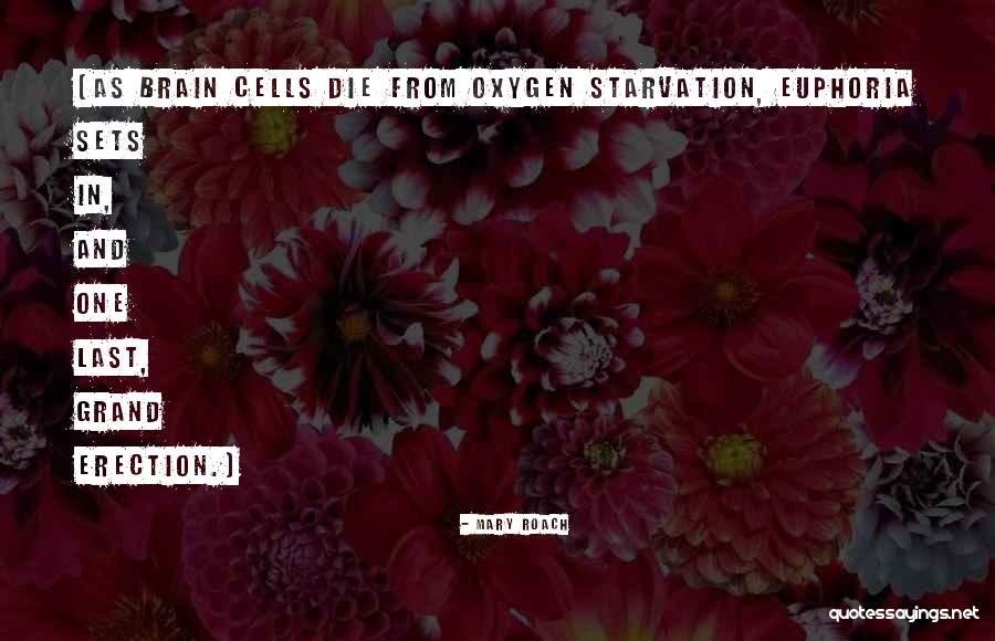 Carmania Chesapeake Quotes By Mary Roach Carmania Chesapeake Quotes By Mary Roach