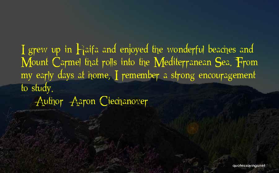 Carmel By The Sea Quotes By Aaron Ciechanover