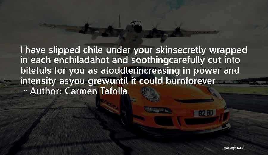 Carmen Tafolla Quotes 768484