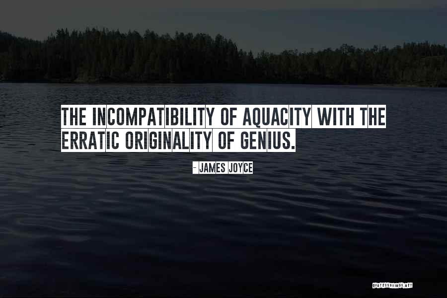 Carmeta Photography Quotes By James Joyce Carmeta Photography Quotes By James Joyce