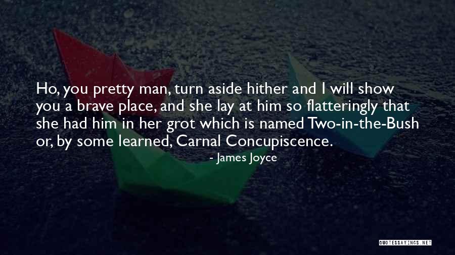 Carnal Quotes By James Joyce Carnal Quotes By James Joyce